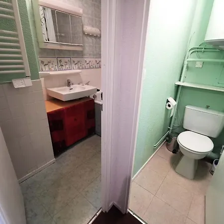 Apartment Pied De Pistes 3 Pieces, 6 Couchages Aux Adrets-prapoutel Les Adrets